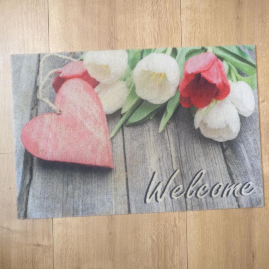 Ferienwohnung Erlenbach-Marktheidenfeld Erlenbach bei Marktheidenfeld ภายนอก รูปภาพ